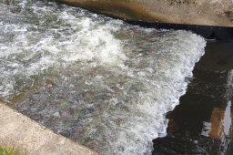 River Blackwater Weir Baffles 2019